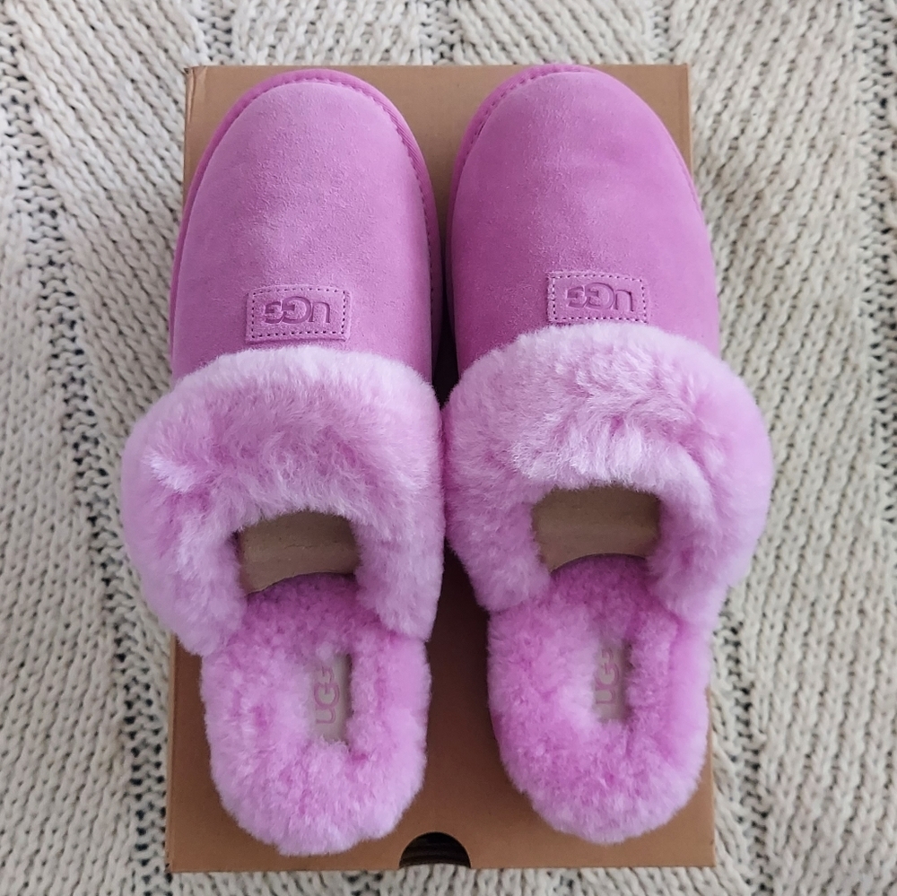 UGG Cozy Slipper - Echinacea - Picture 4 of 10